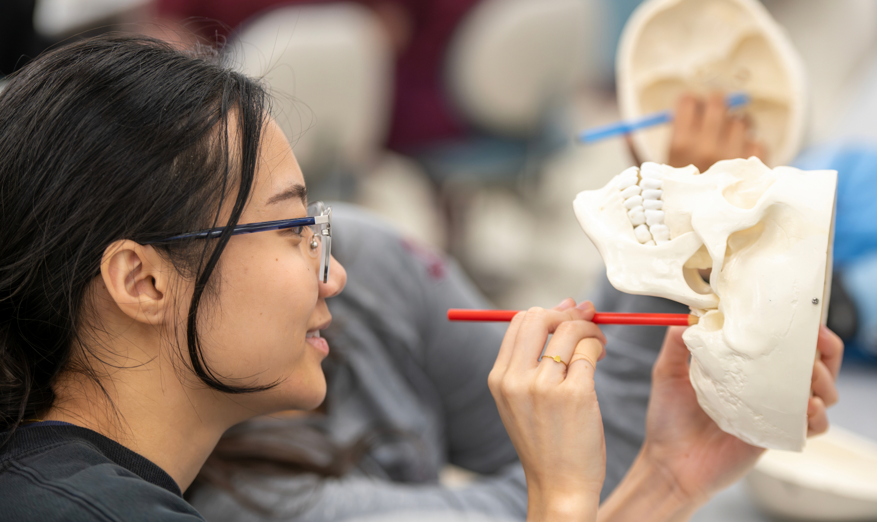 A dental hygiene student practices an instrument technique on a dental model