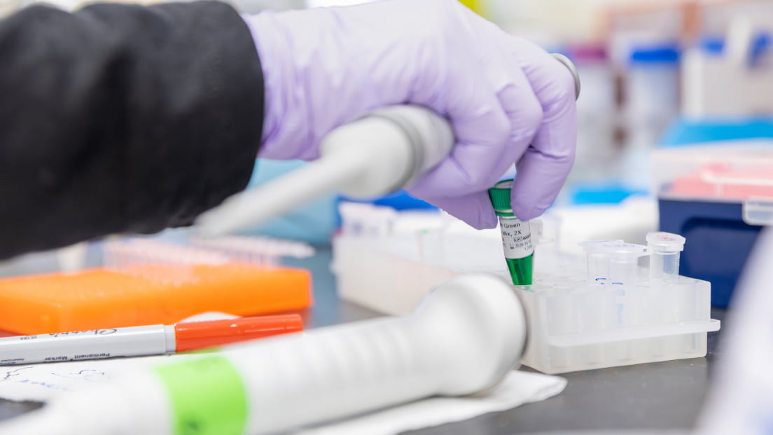 Close-up of a scientist in a purple glove placing a sample tube into a rack on a laboratory benchtop.