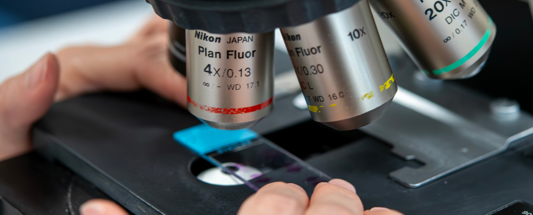 Close-up of a researcher adjusting a tissue sample slide on a laboratory microscope stage.